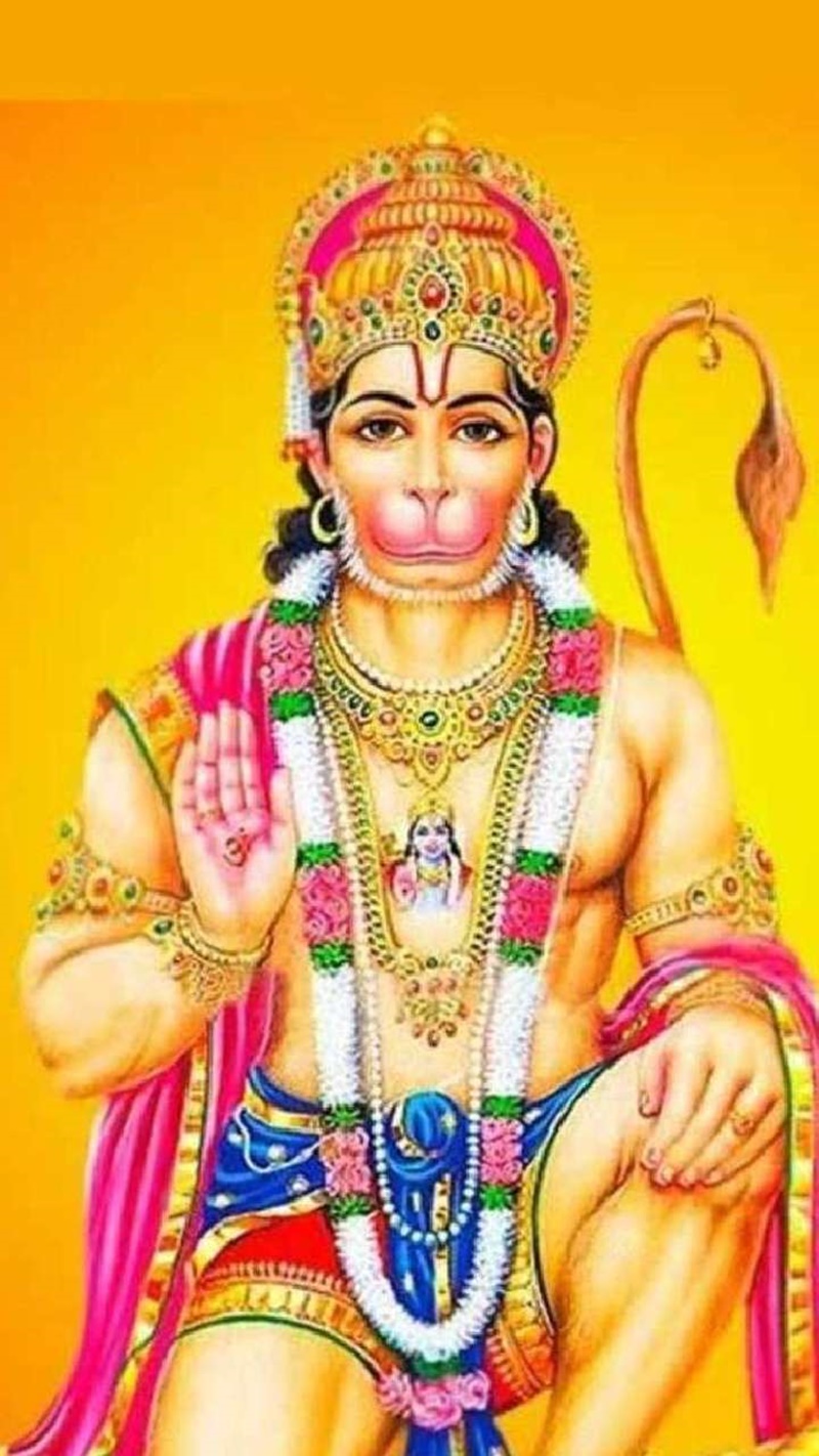 naidunia_image